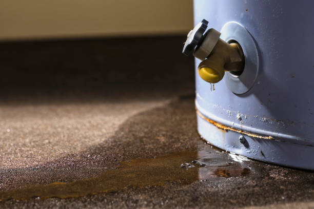 Best Flood restoration services  in Bowling Green, FL
