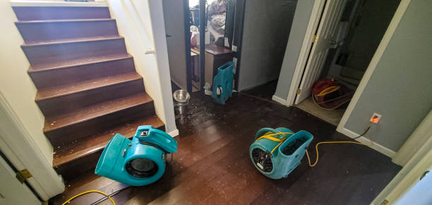 Best Flood damage cleanup  in Bowling Green, FL