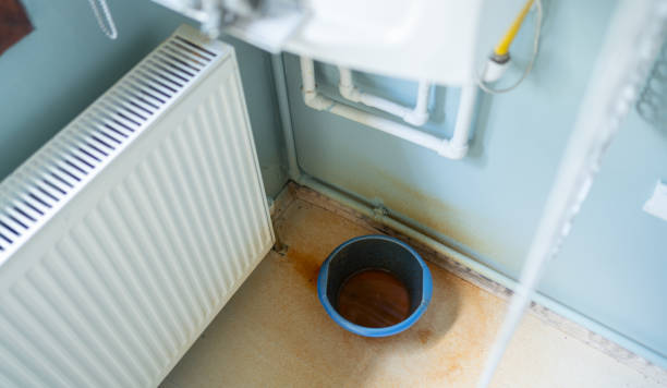 Best Basement water damage restoration  in Bowling Green, FL