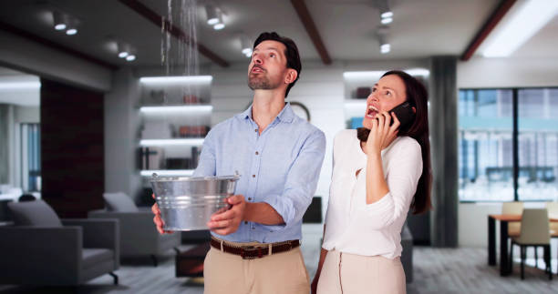 Best Emergency water extraction  in Bowling Green, FL